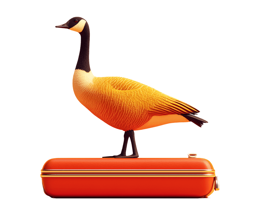 Goose on Luggage